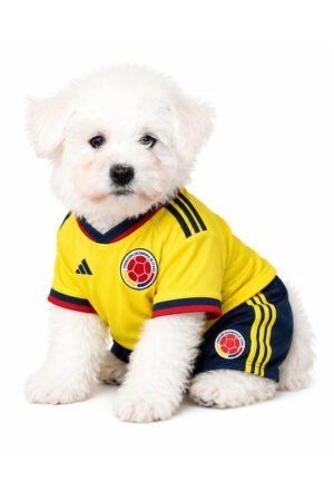 BICHON 0461 BOY