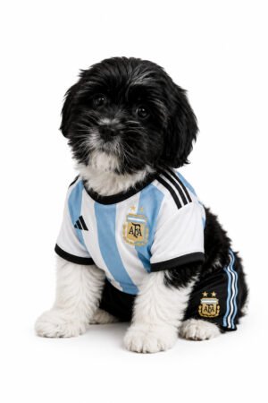 COCKAPOO 4216 BOY
