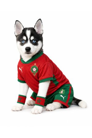 KLEE KAI 5023 BOY