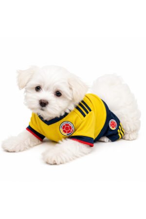MALTESE 7115 GIRL
