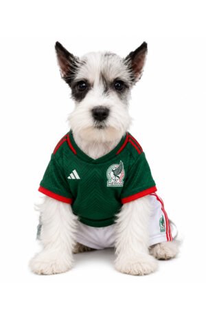 MINSCHNAUZER 0121 GIRL