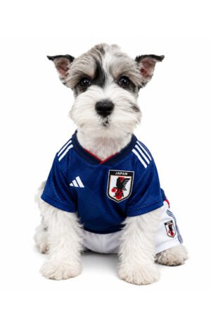 MINSCHNAUZER 0262 BOY