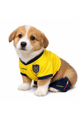 PEMBROKE WELSH CORGI 6873 GIRL