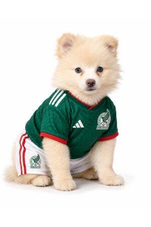 POMERANIAN 5011 BOY