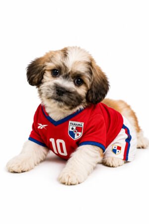 TEDDY BEAR 3222 BOY