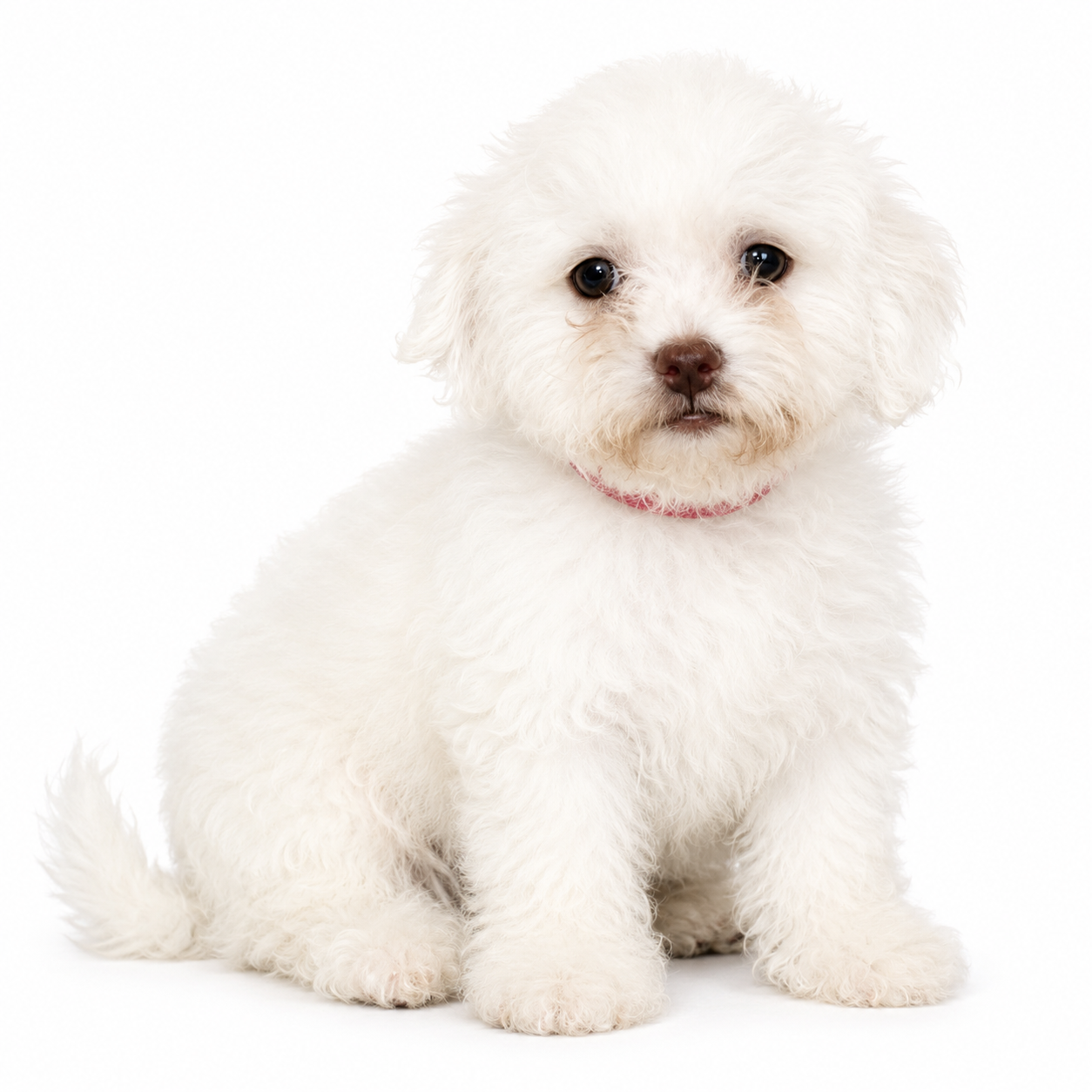 TEDDY BEAR 5107 GIRL